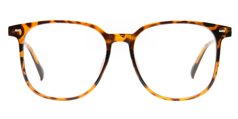 Kael​ Glasses Tortoise