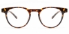 Picture of Tara​ Glasses