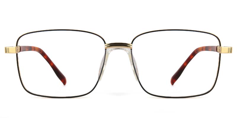 Birch​ Glasses Gold_Tortoise