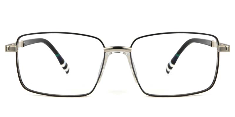 Lichen​ Glasses Silver_Black