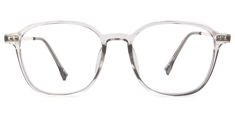Wing​ Glasses Transparent_Gray