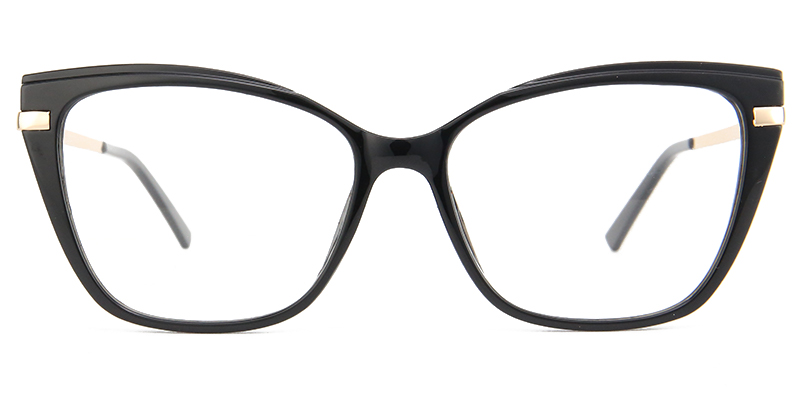 Brook Glasses Black