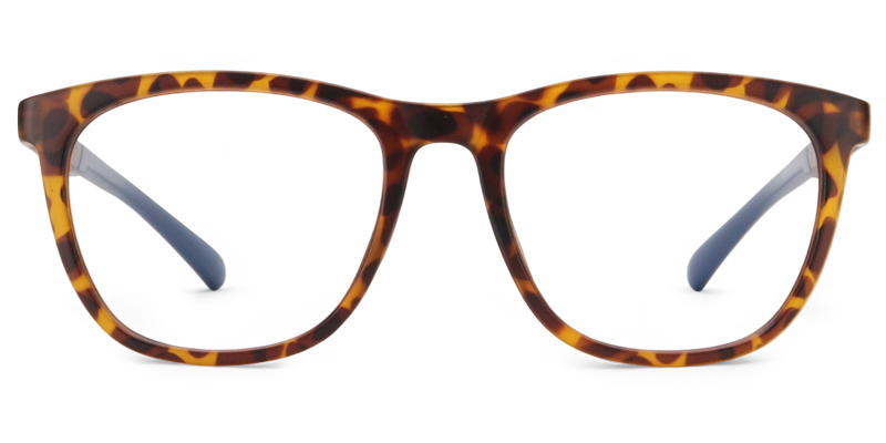 Happiness Glasses Tortoise